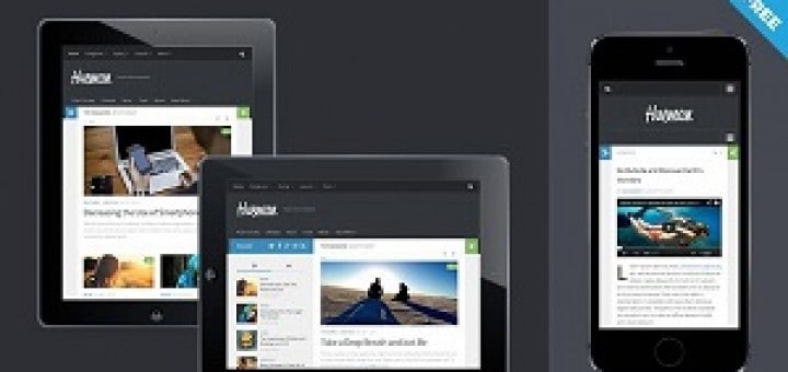 hueman-reponsivt-wordpress-tema-liten