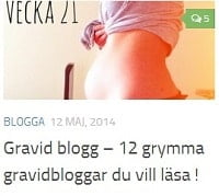 gravid blogg