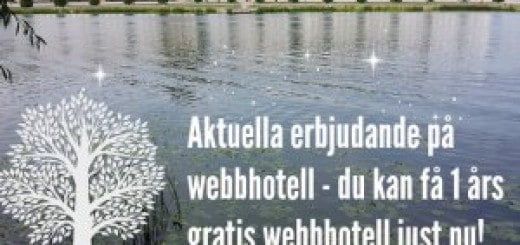 fritt webbhotell