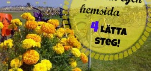 Göra en egen hemsida blogg