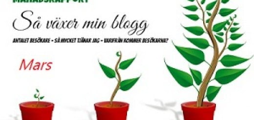 intäktsrapport mars
