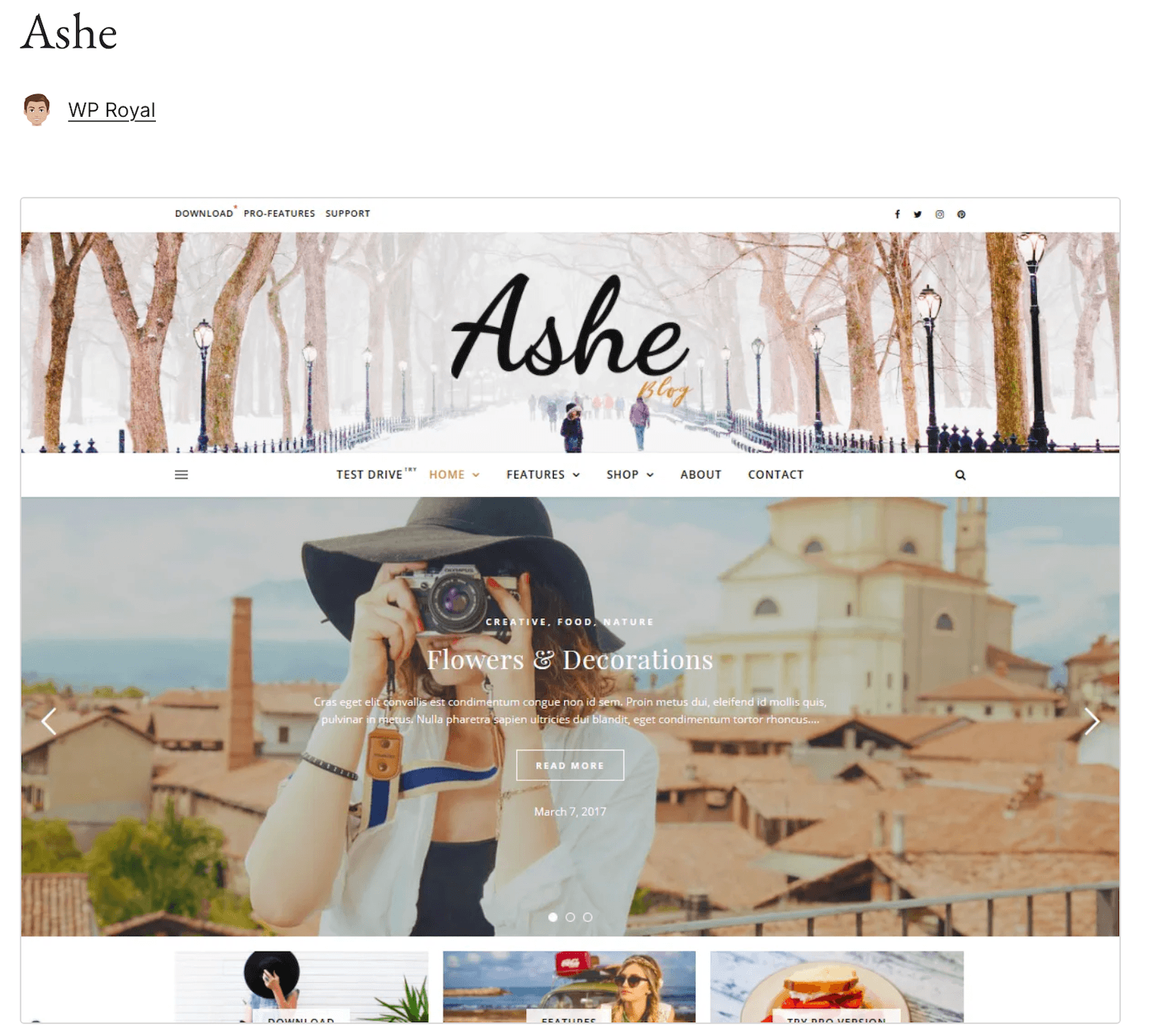 Ashe wp-tema