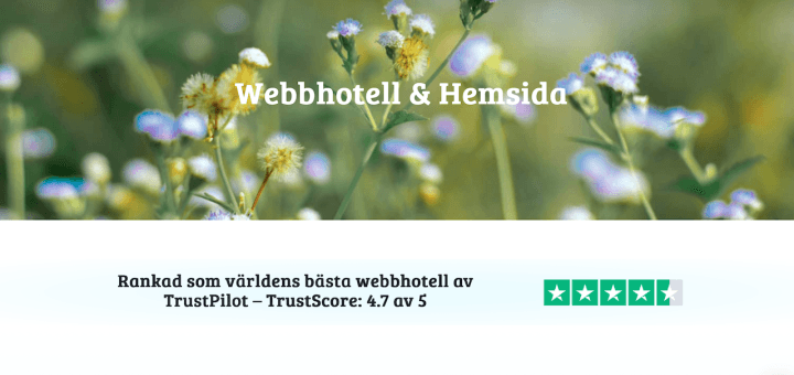 Miss Hosting webbhotell