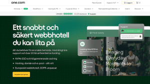 One.com webbhotell