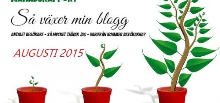 inkomstrapport augusti