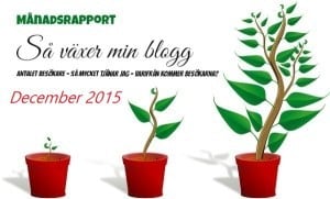 inkomstrapport december