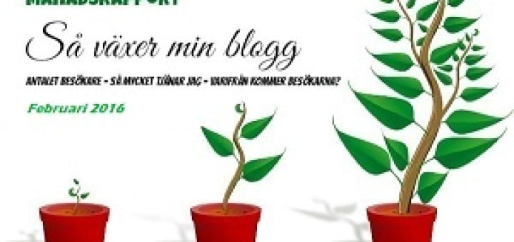 inkomstrapport feb2