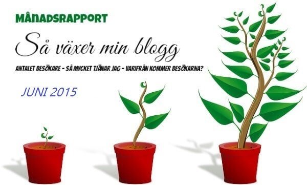 inkomstrapport juni starta-blogg