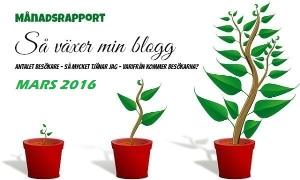inkomstrapport mars 2016