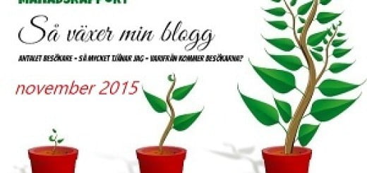 inkomstrapport november starta-blogg