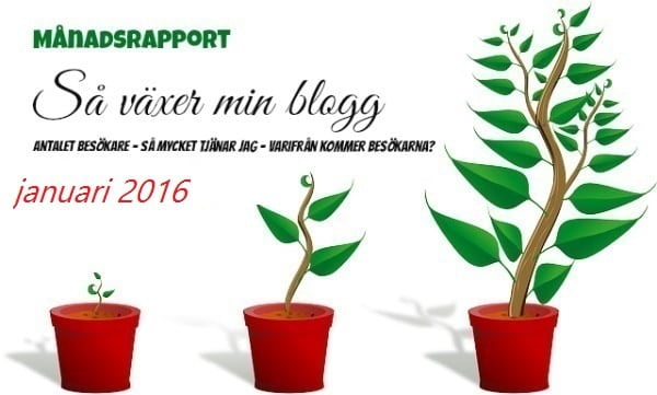 inkomstrapport